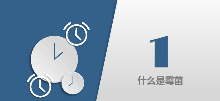 食品潔淨車間,環境黴(méi)菌(jun1)來源,黴菌控製措施,滁(chú)州無塵淨化(huà)車間 食品潔淨車間,環境黴菌來源,黴菌控製措施,滁州(zhōu)無(wú)塵淨化車間
