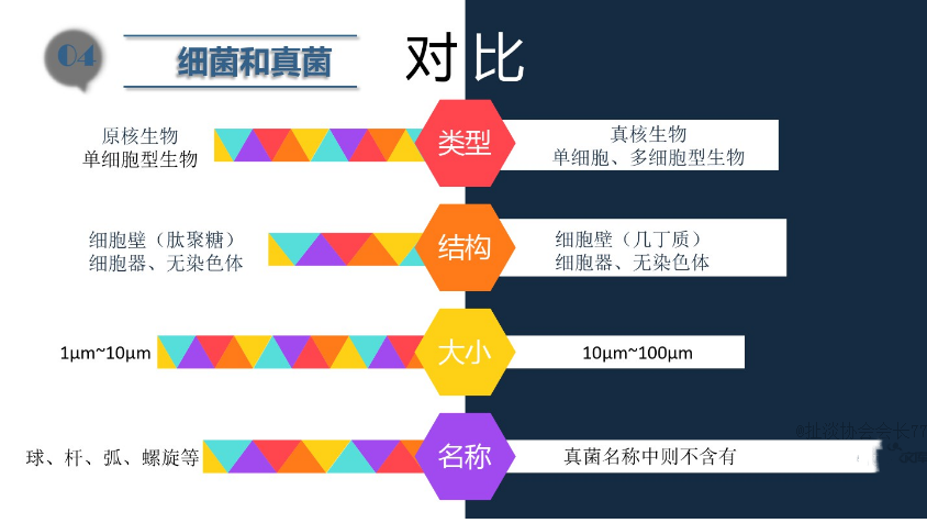食品潔(jié)淨車間,環境黴菌來源,黴菌控製(zhì)措施,滁州無(wú)塵淨(jìng)化車間 食品(pǐn)潔淨車間,環境黴菌來源,黴菌控製措施,滁州無(wú)塵淨化車間(jiān)