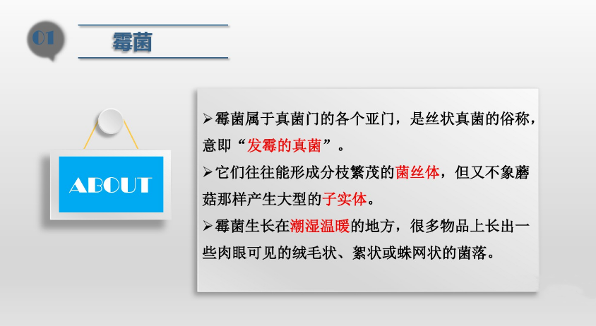 食品潔淨車間,環境黴菌來源,黴菌控製措施,滁州無塵淨化車間 食(shí)品潔淨車間,環境黴菌來源,黴菌控製措施,滁州無(wú)塵淨化車間