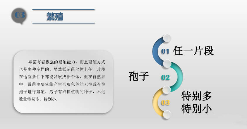 食品潔淨車間,環境(jìng)黴菌來源,黴菌(jun1)控製(zhì)措施,滁州無塵淨化車間 食品潔淨車間,環境黴菌來源,黴菌控製(zhì)措施,滁州無塵淨化車間