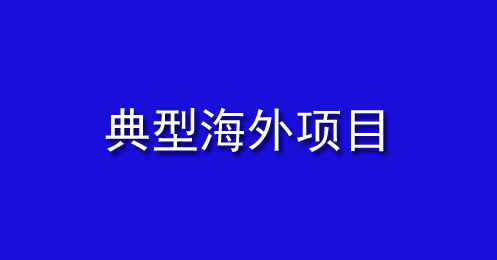典（diǎn）型海外（wài）項目